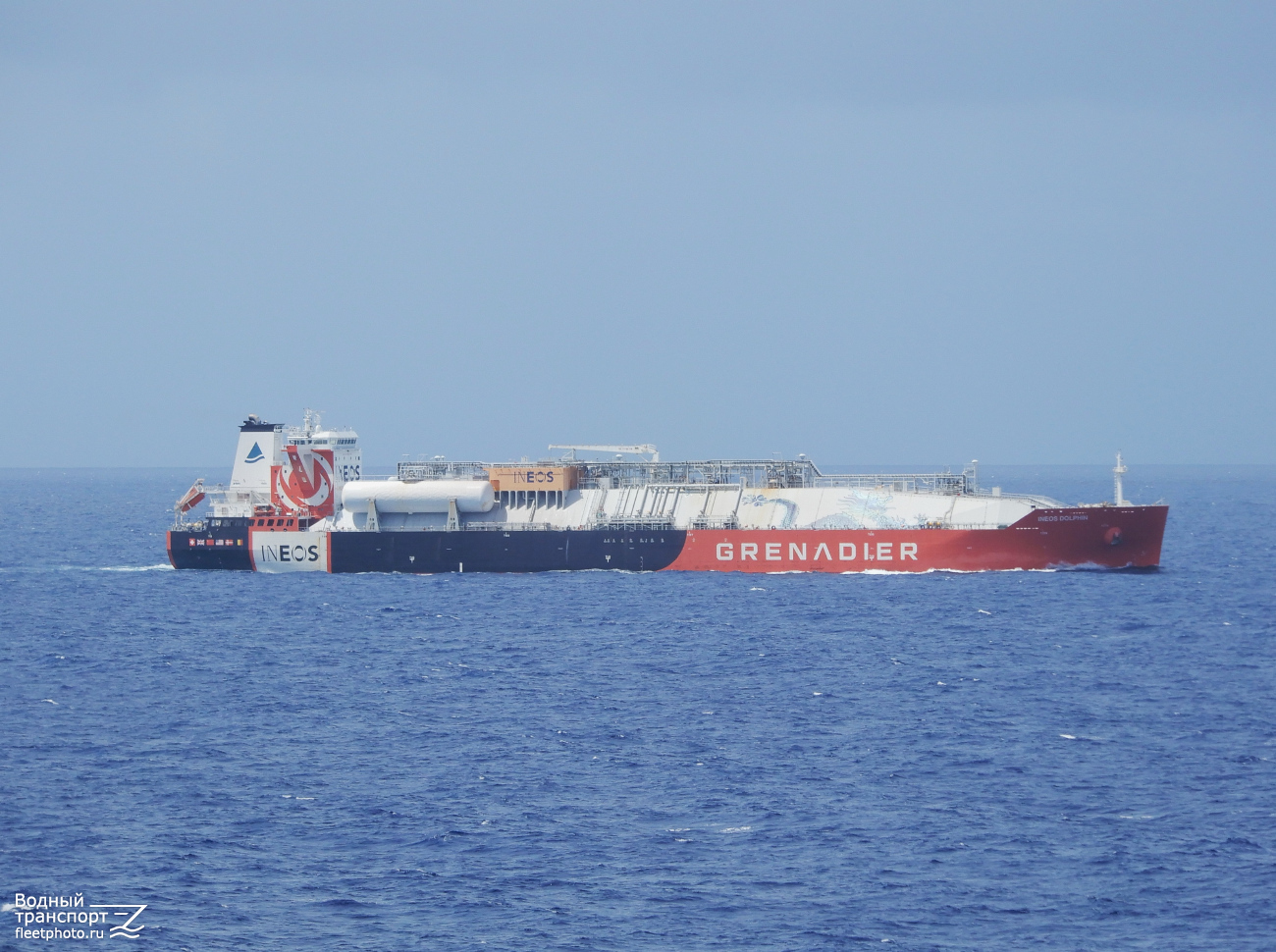 Ineos Dolphin