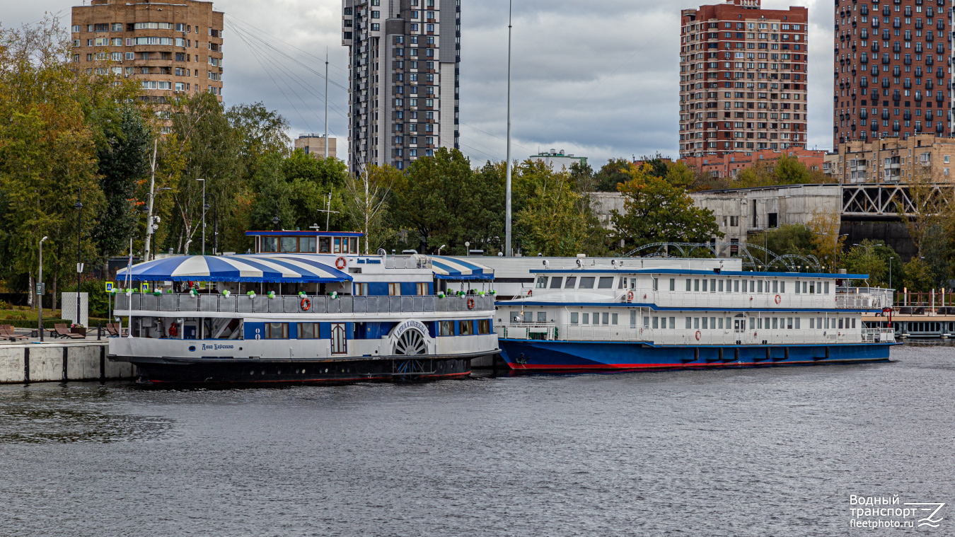 Анна Каренина, Московский Эколог