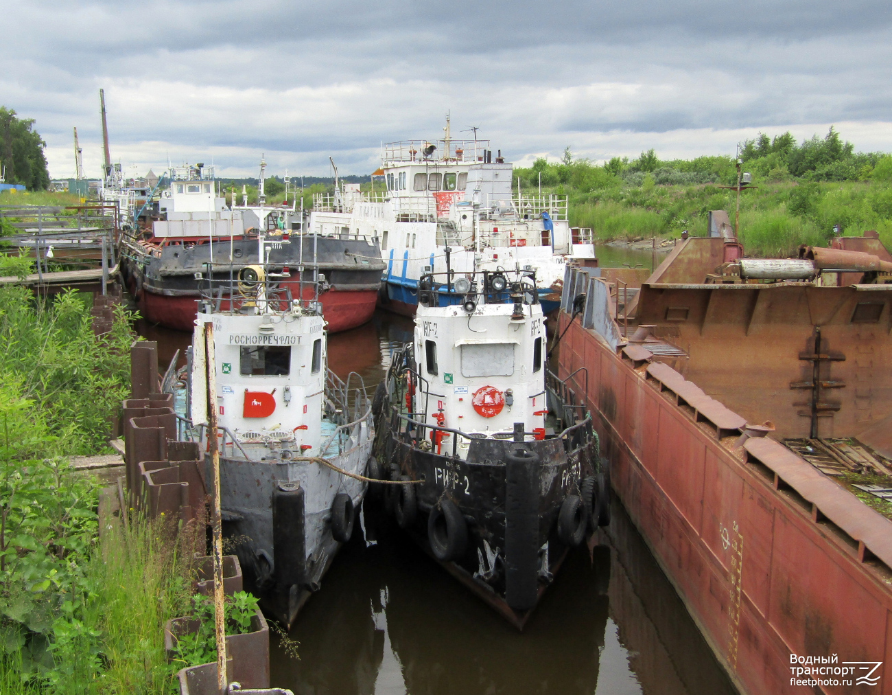 Апа, Пингвин, Кондор, Риф-2