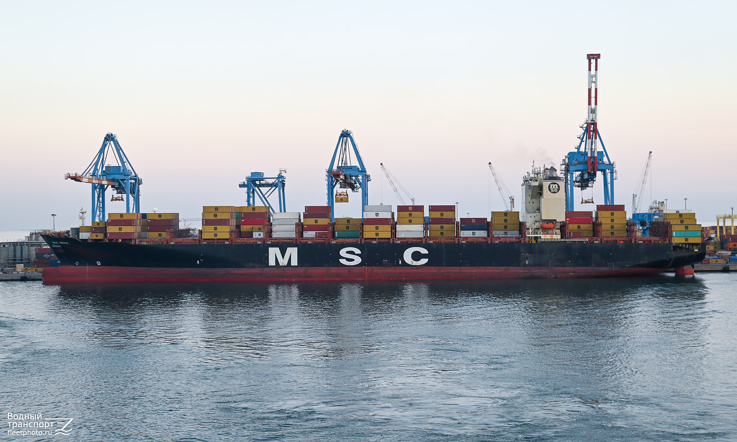 MSC Arica