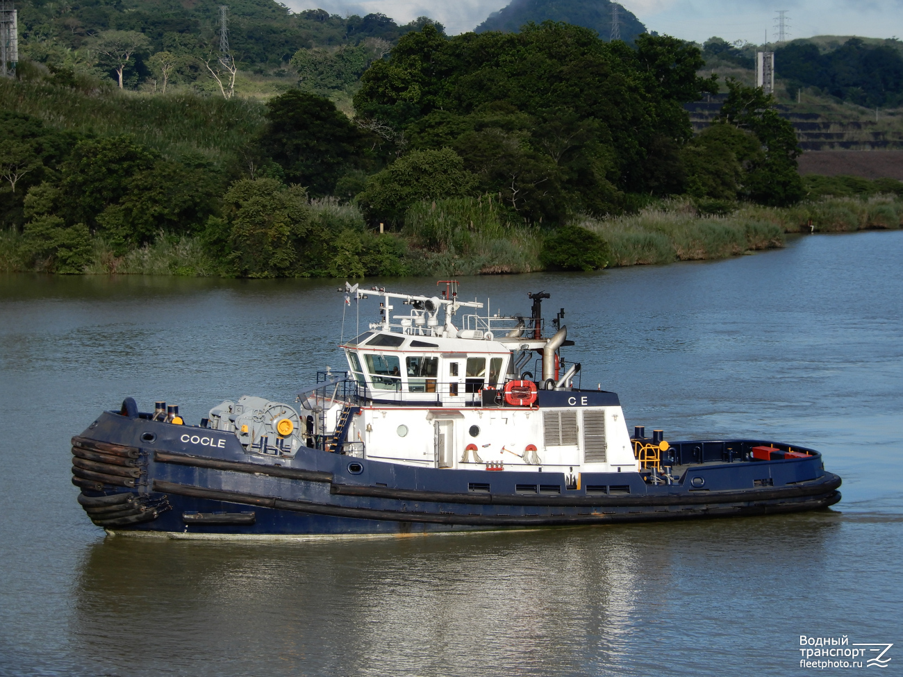 Cocle