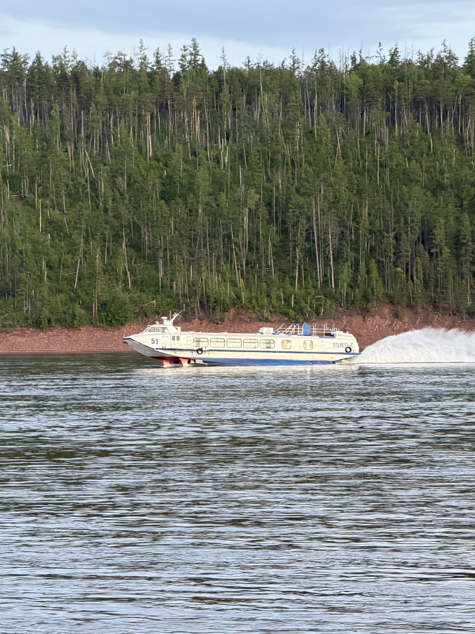 Полесье-51