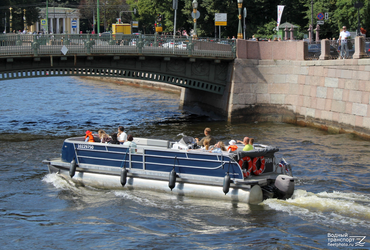 Нерпа
