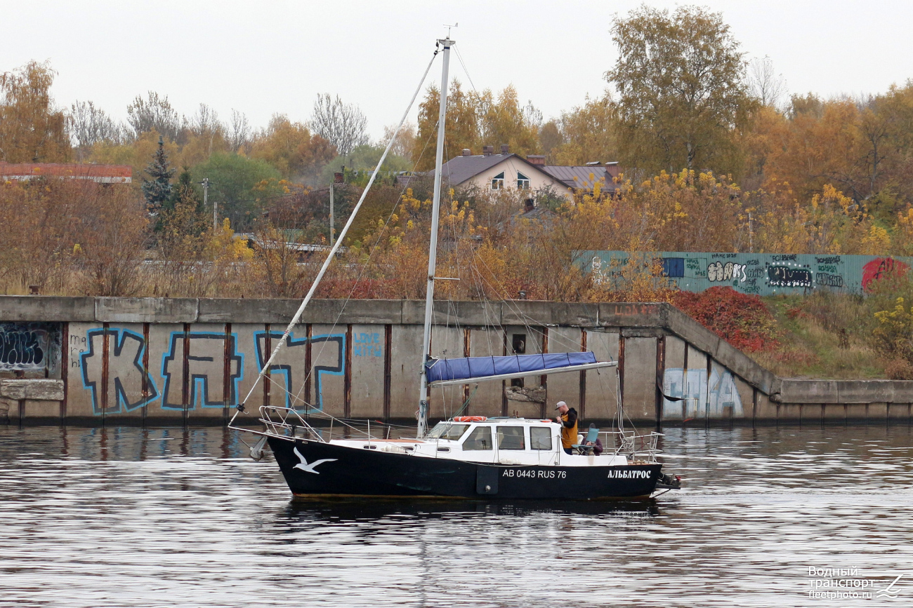 Альбатрос