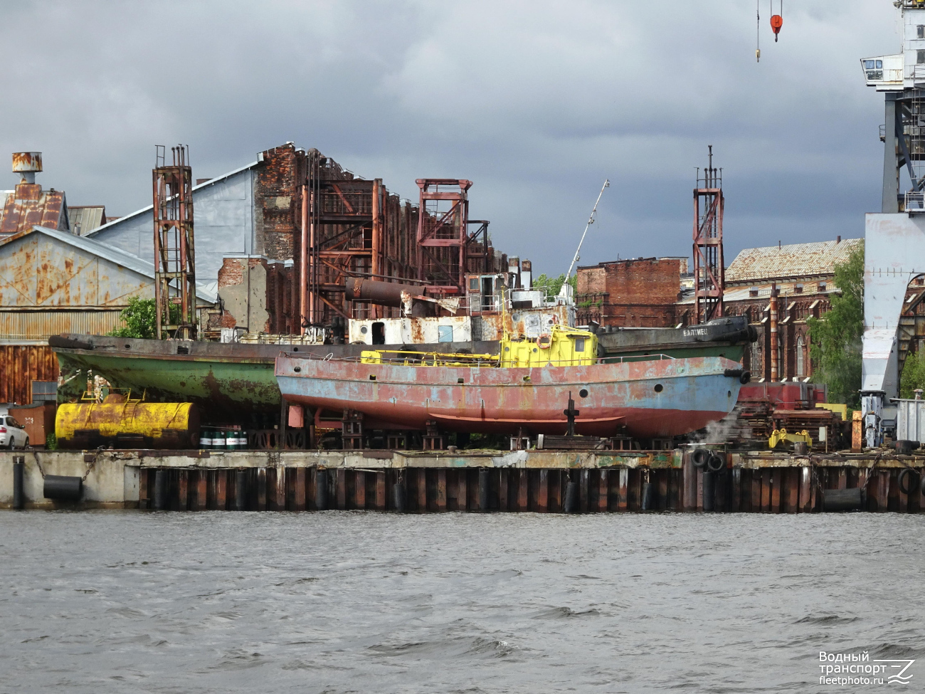 Дельфин, Балтиец