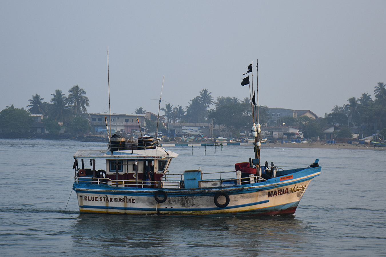 Maria Viking