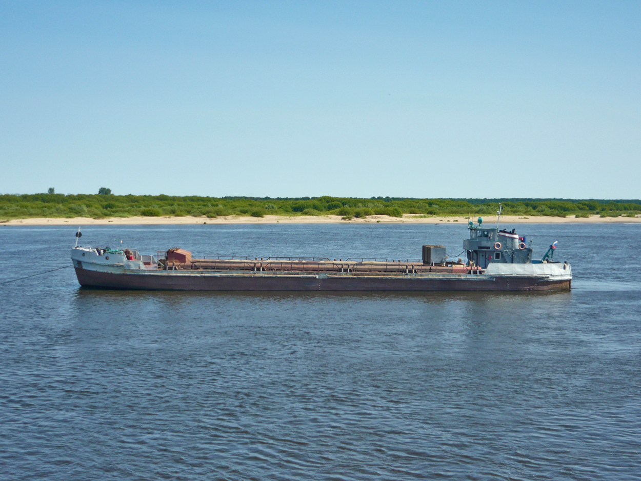 ШС-10
