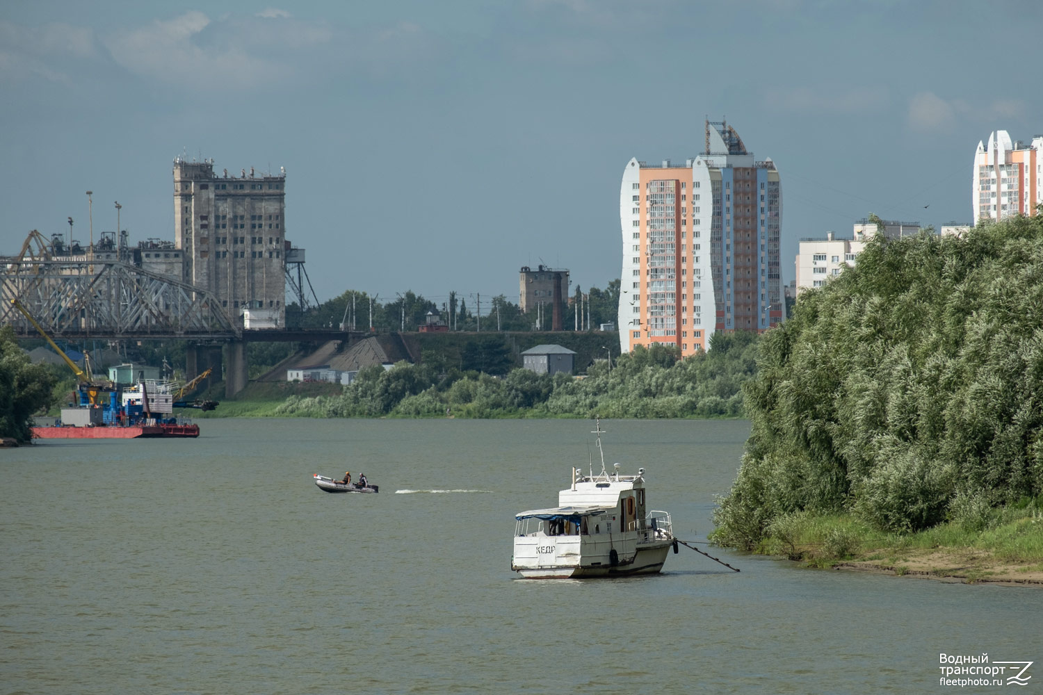 Кедр