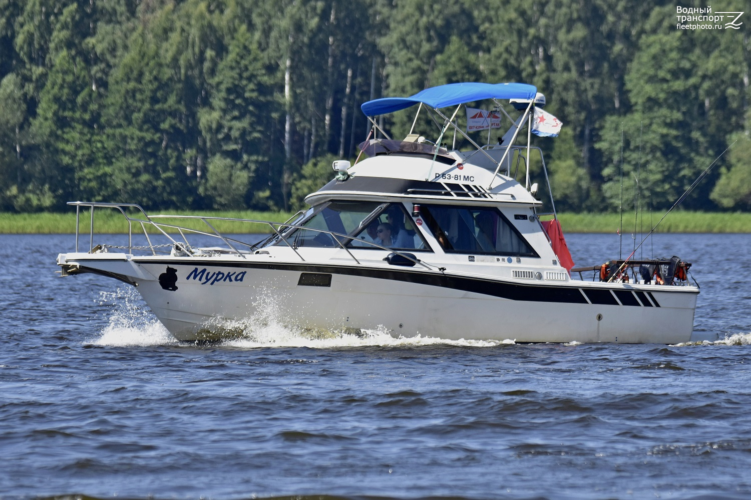 Мурка