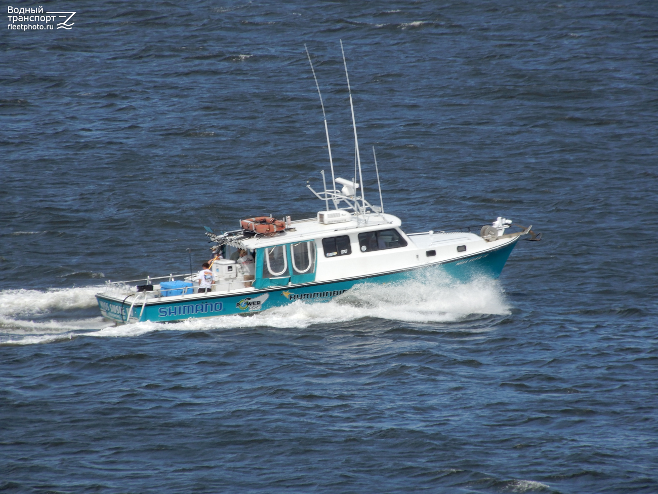 Miss Susie IV