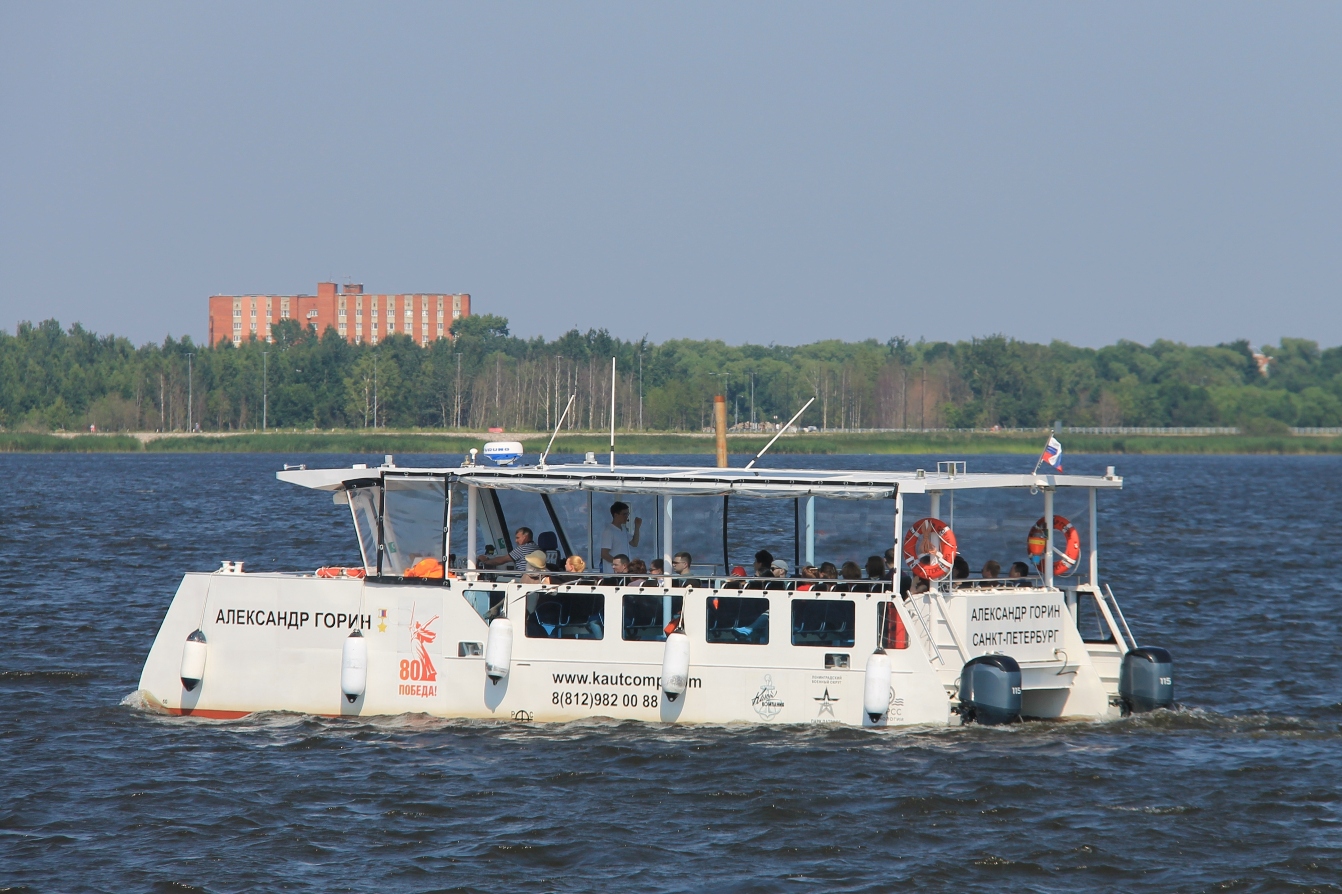 Александр Горин