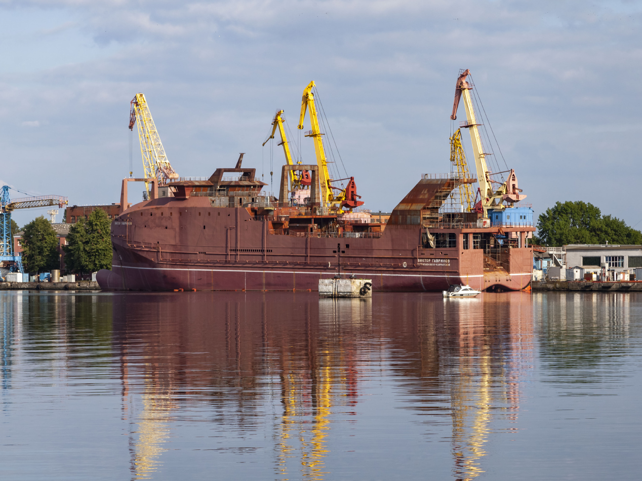 Виктор Гаврилов