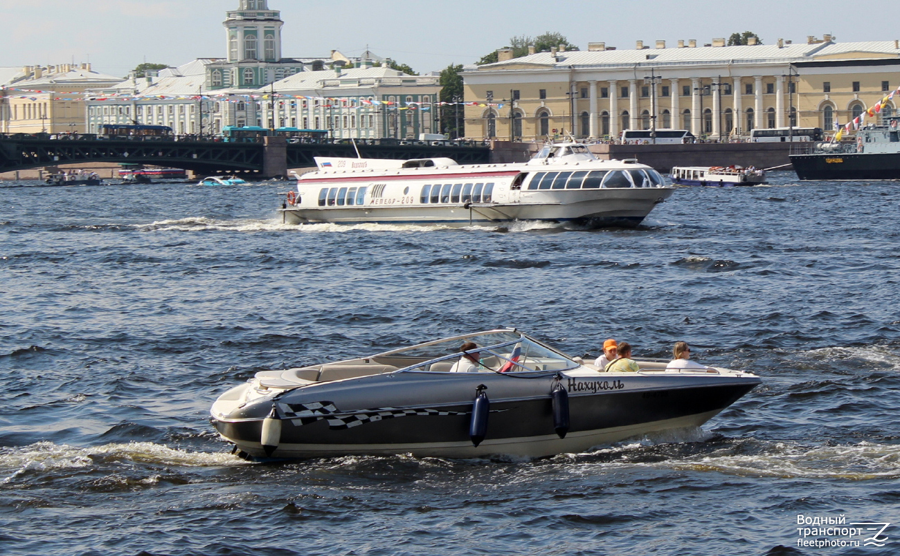 Нахухоль, Метеор-209