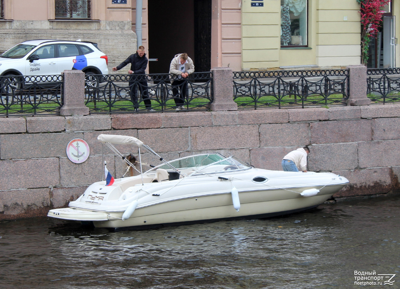 Пума