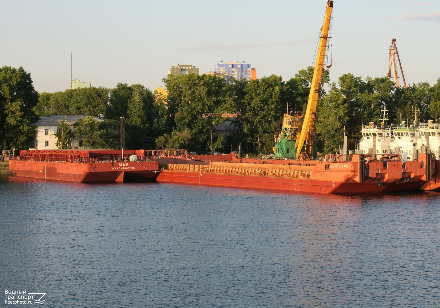 Мая, МП-2006