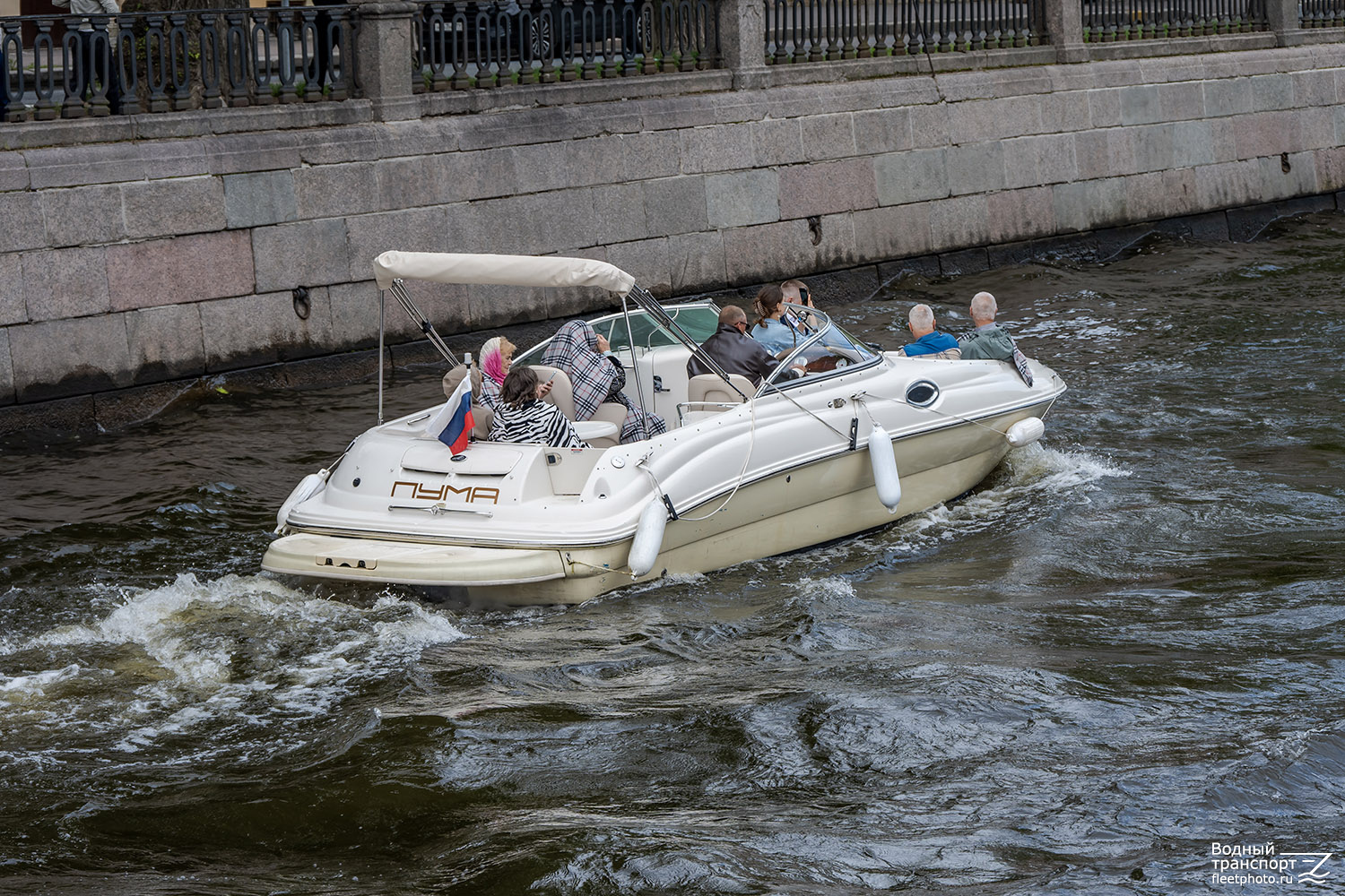 Пума