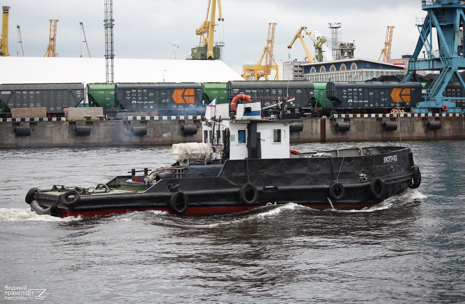 Ястреб