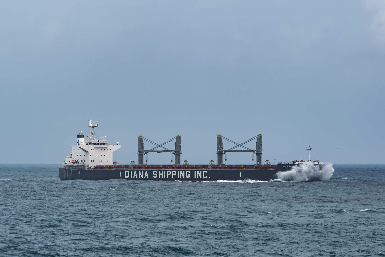 DSI Pollux