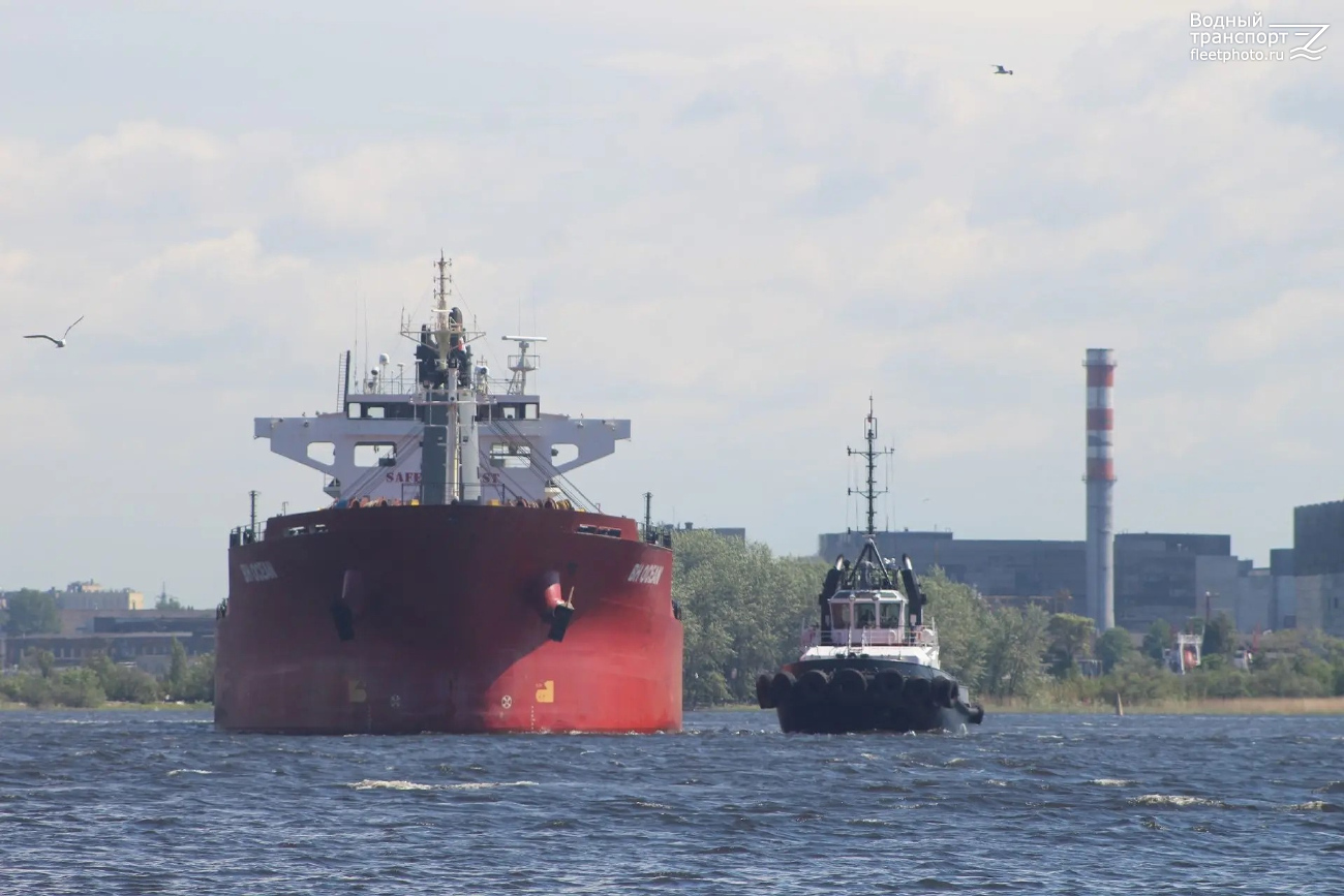BH Ocean, Грифон-7