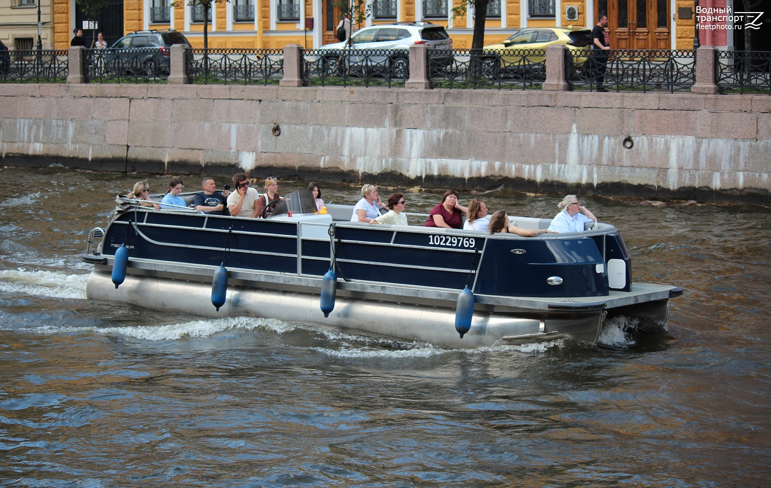 Тюлень