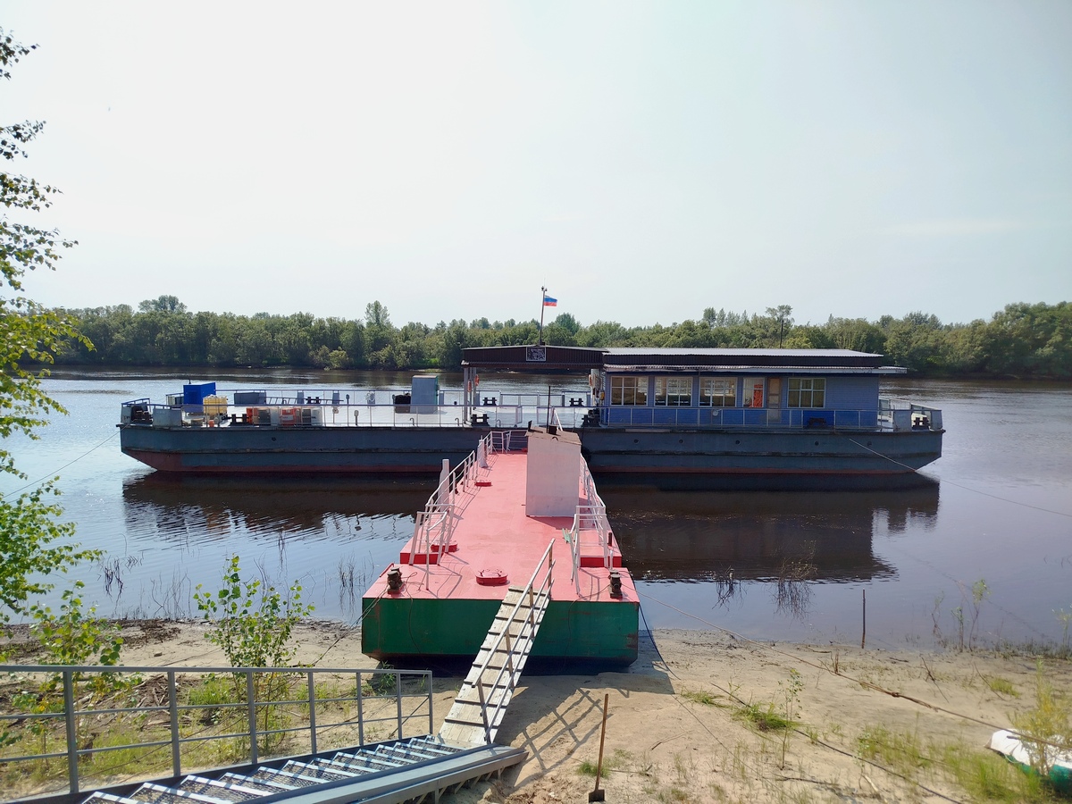 ДМ-09