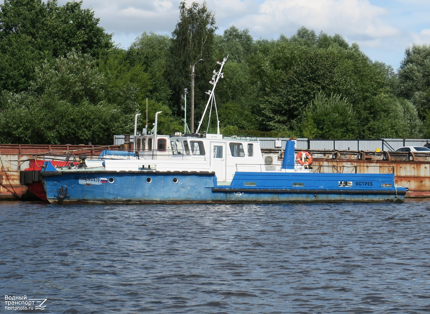 Ястреб