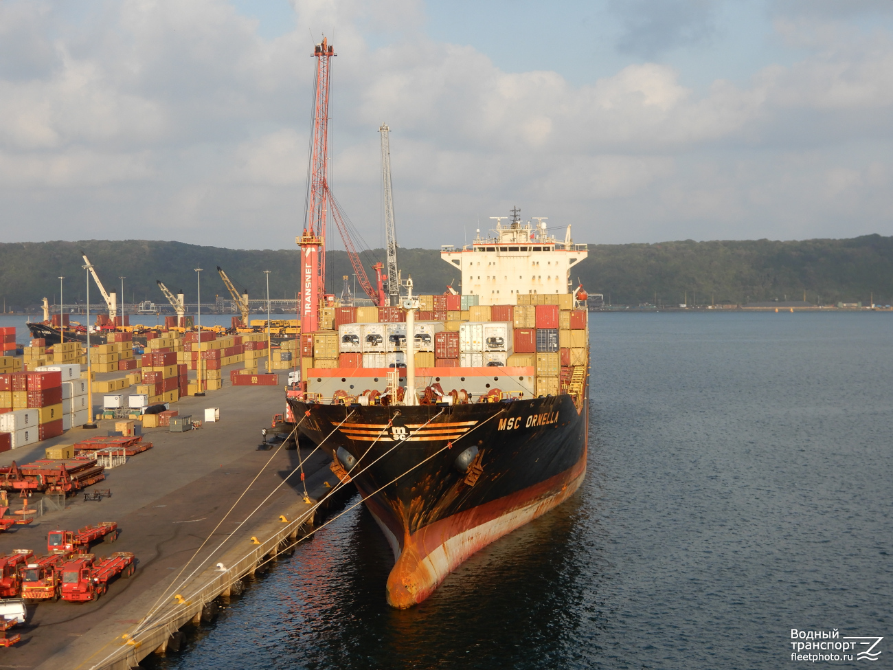 MSC Ornella