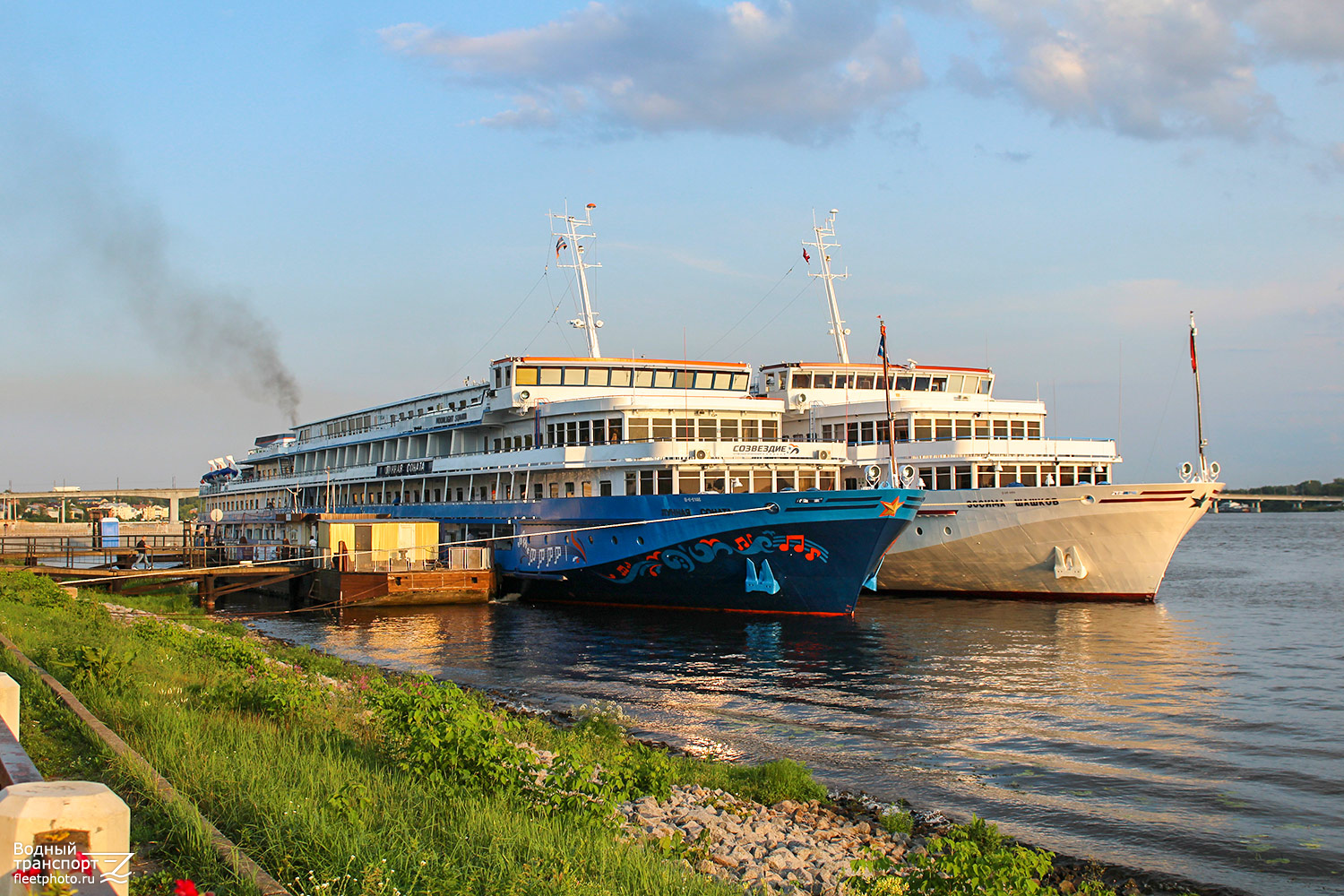 859, Лунная соната, Зосима Шашков