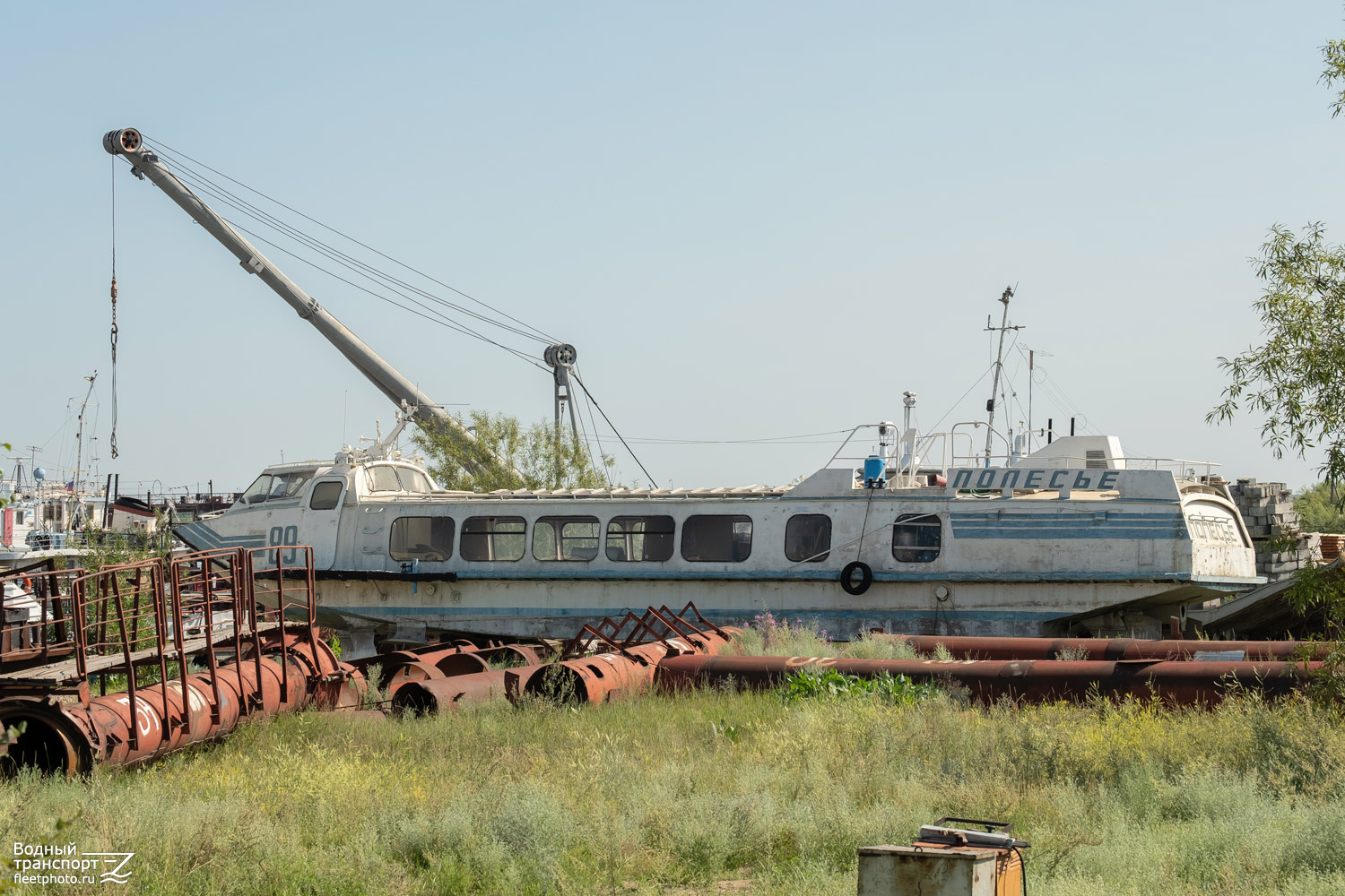 Полесье-89