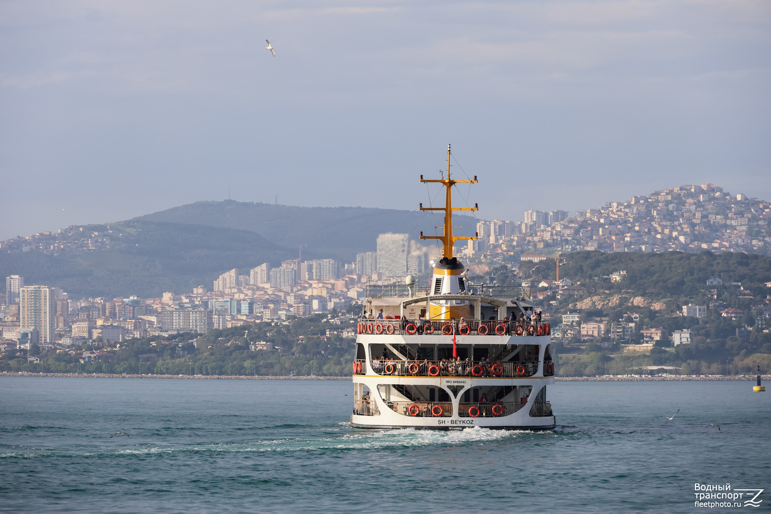 ŞH-Beykoz