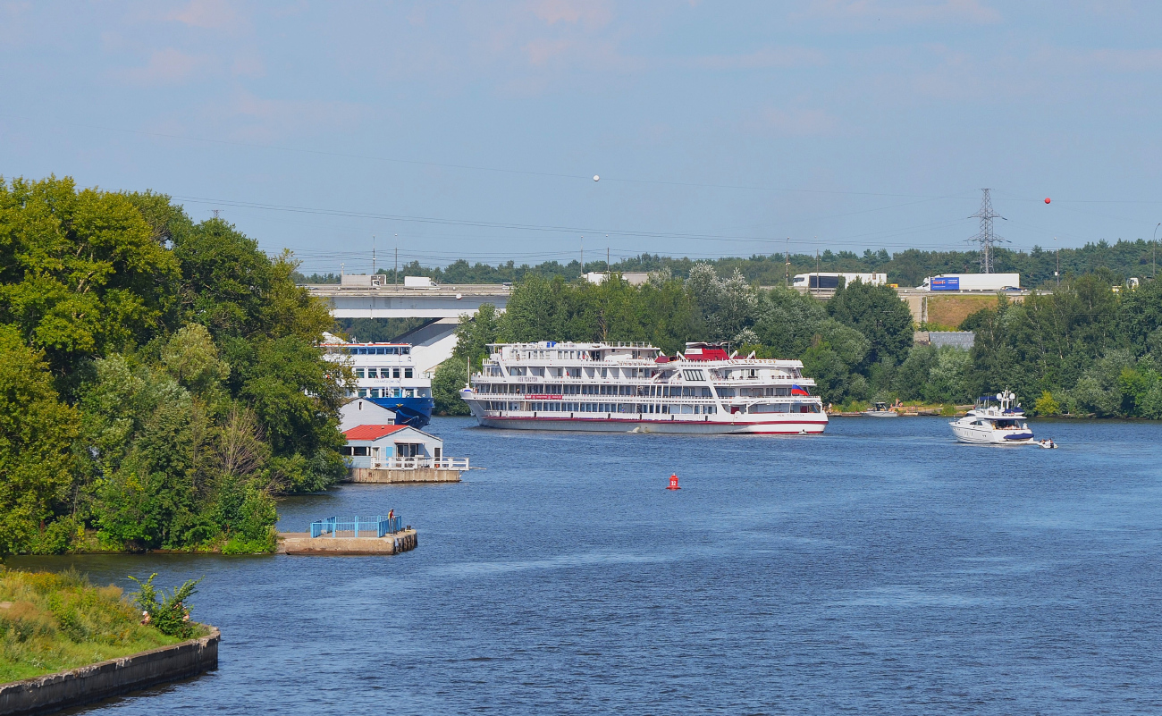 Лев Толстой, Пура Вида
