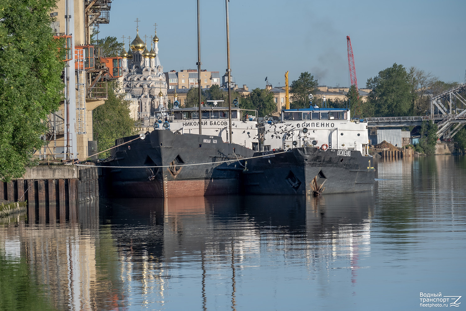 Николай Басов, Осипенко