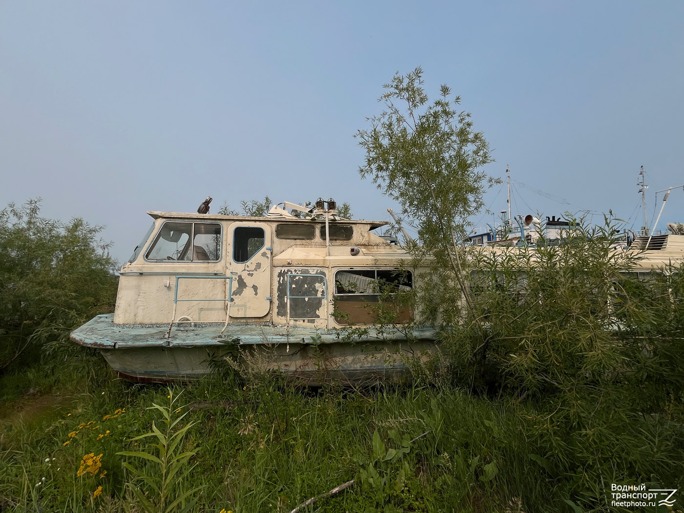 Заря-98