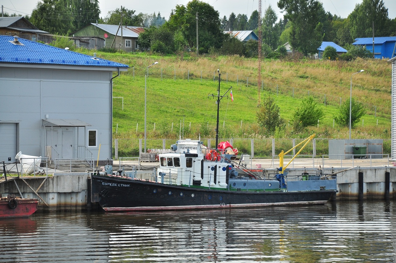 Буревестник