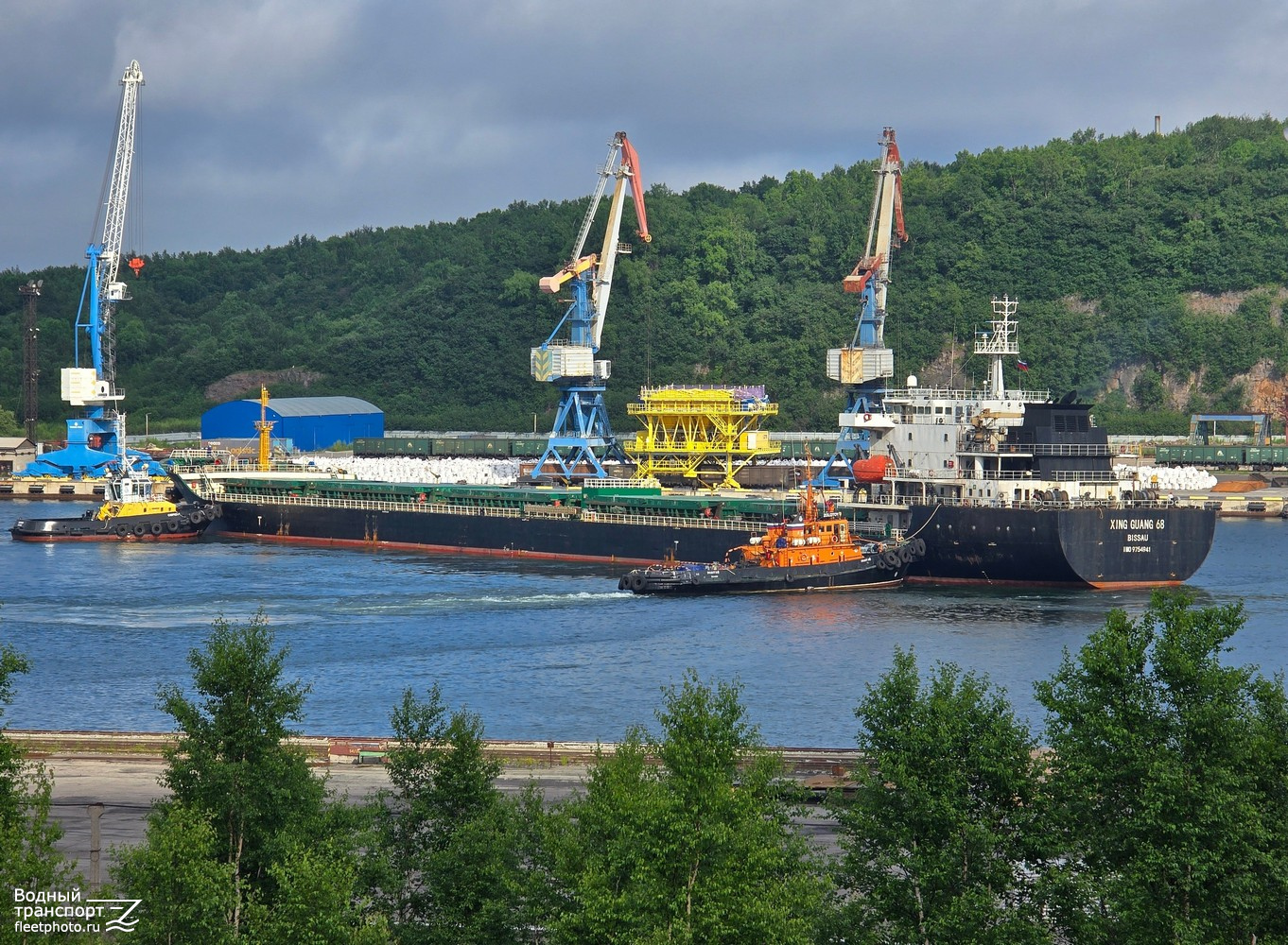 Xing Guang 68, Сюркум, Золотой