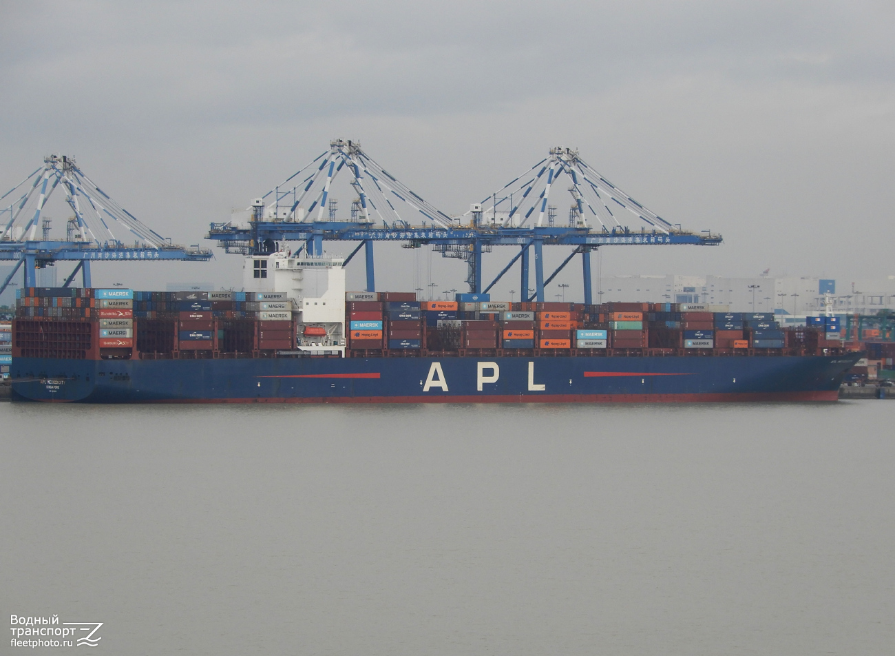 APL Mexico City