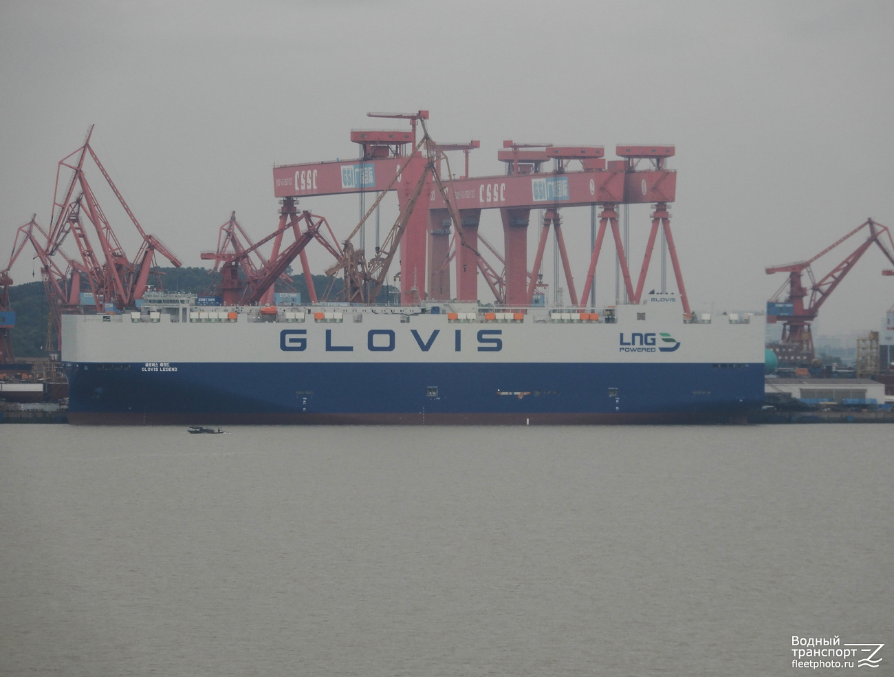 Glovis Legend