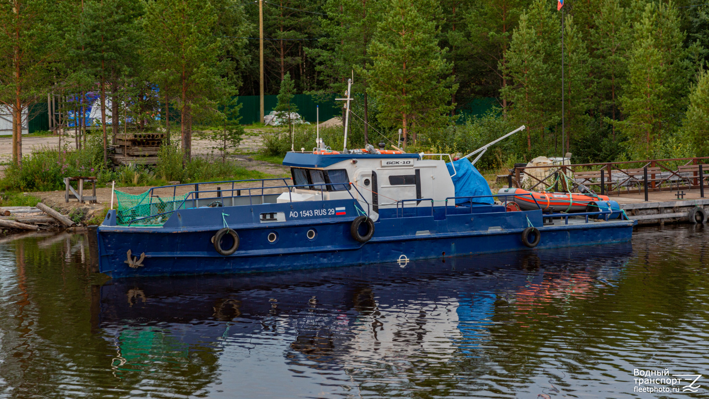 БСК-10
