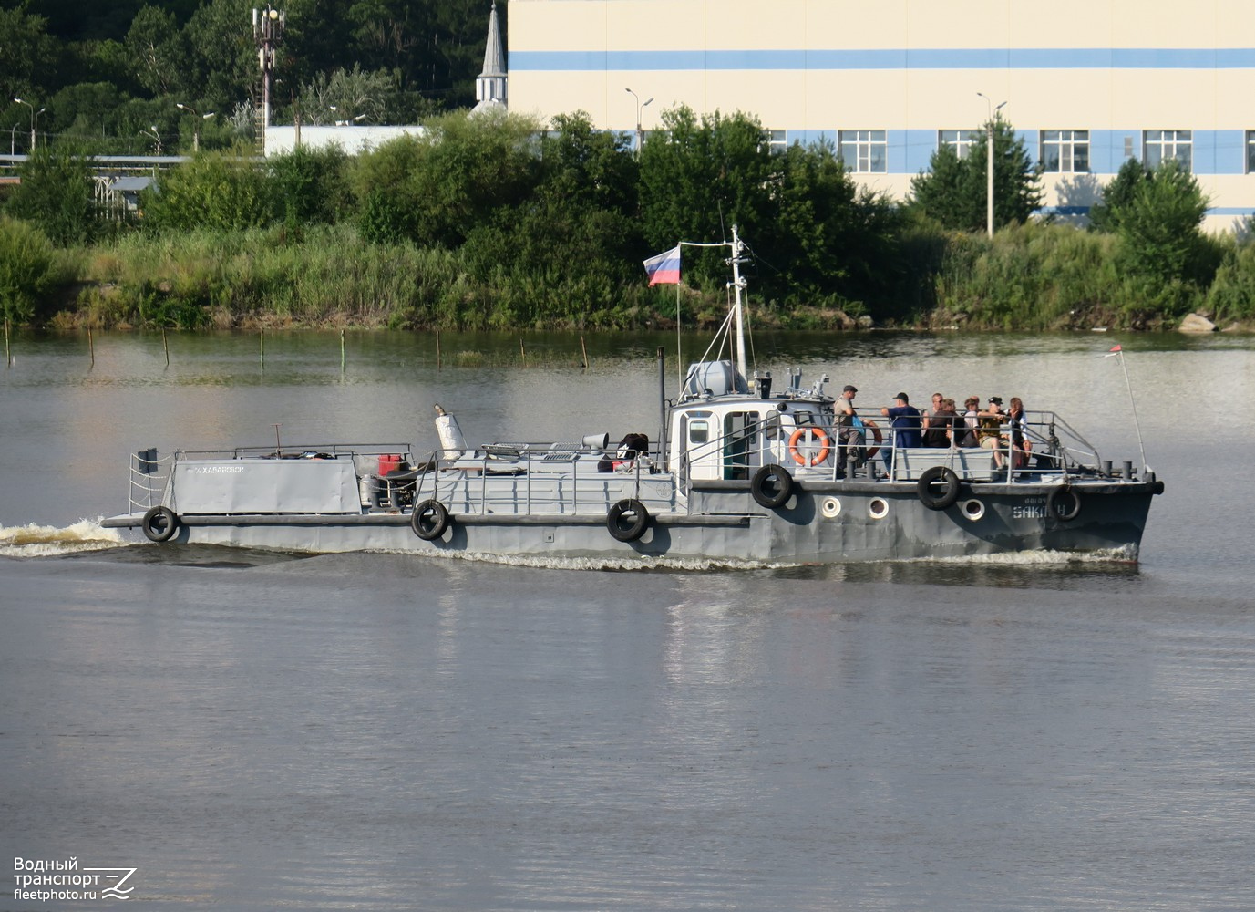 Баклан