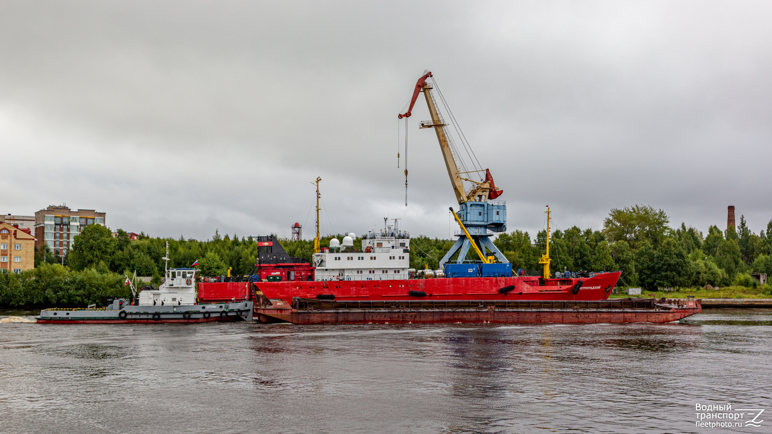 Парголово, 2631, Петроградский