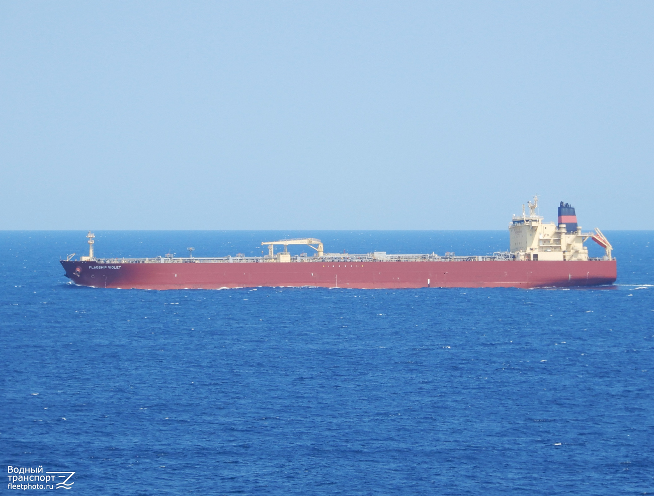 Flagship Violet