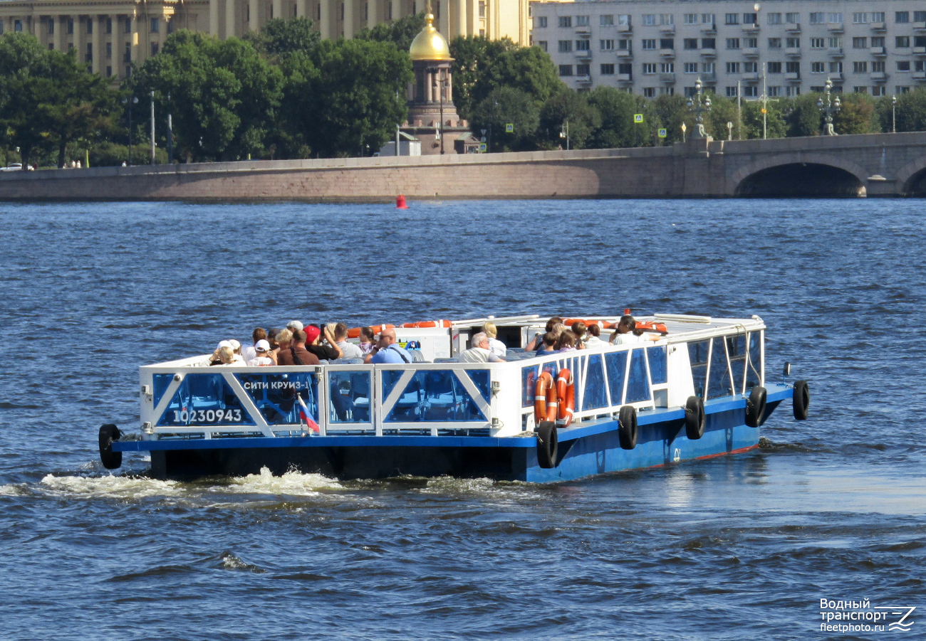 Сити Круиз-1