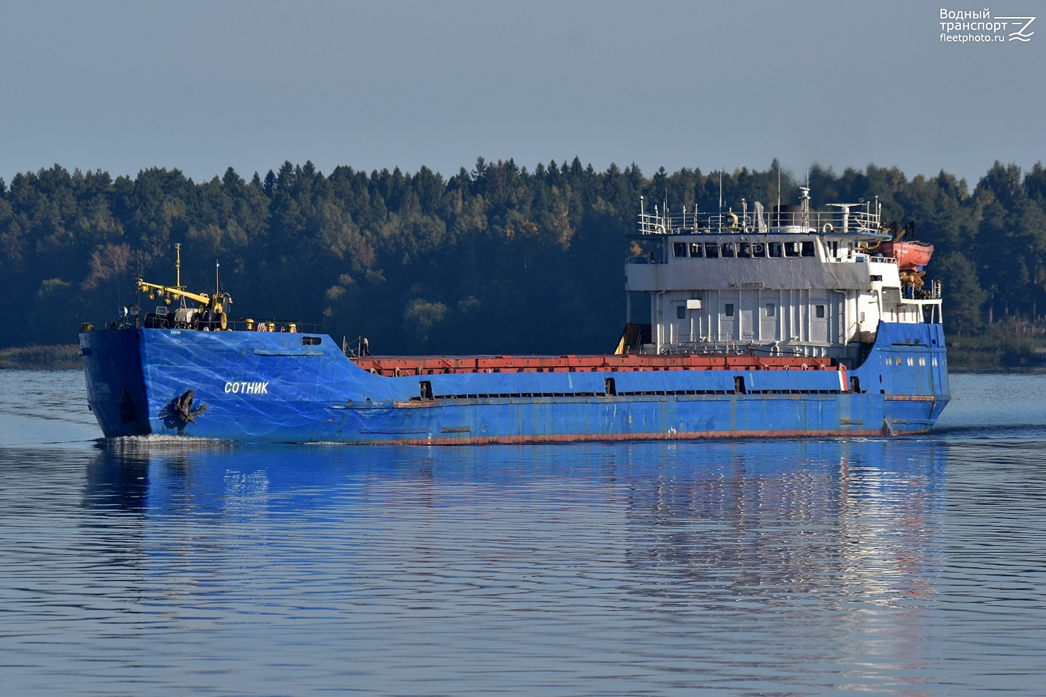 Сотник