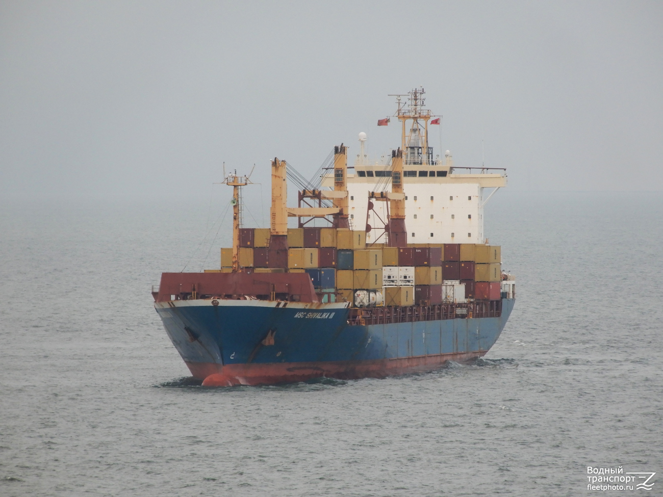 MSC Shivalika III