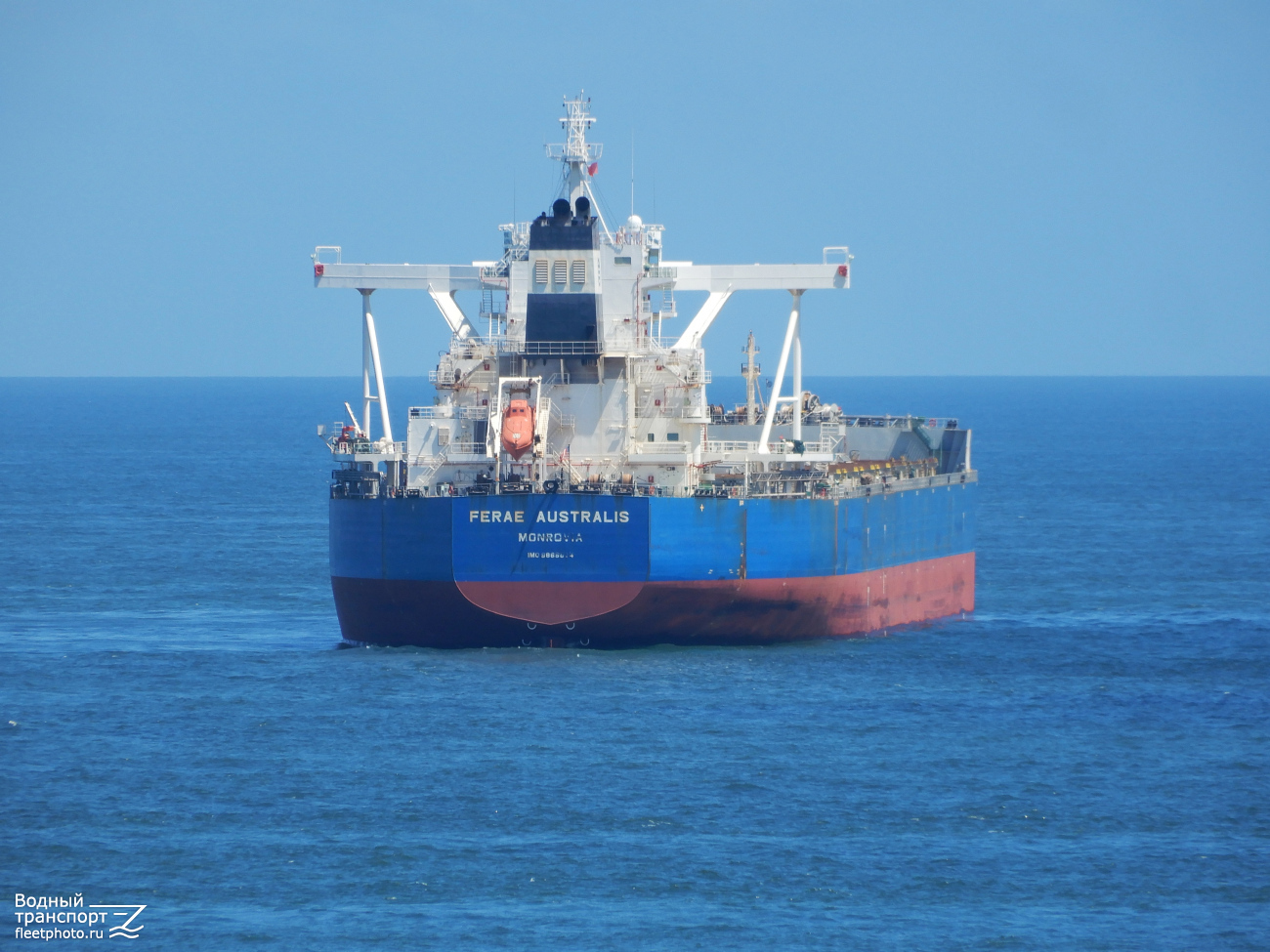 Ferae Australis