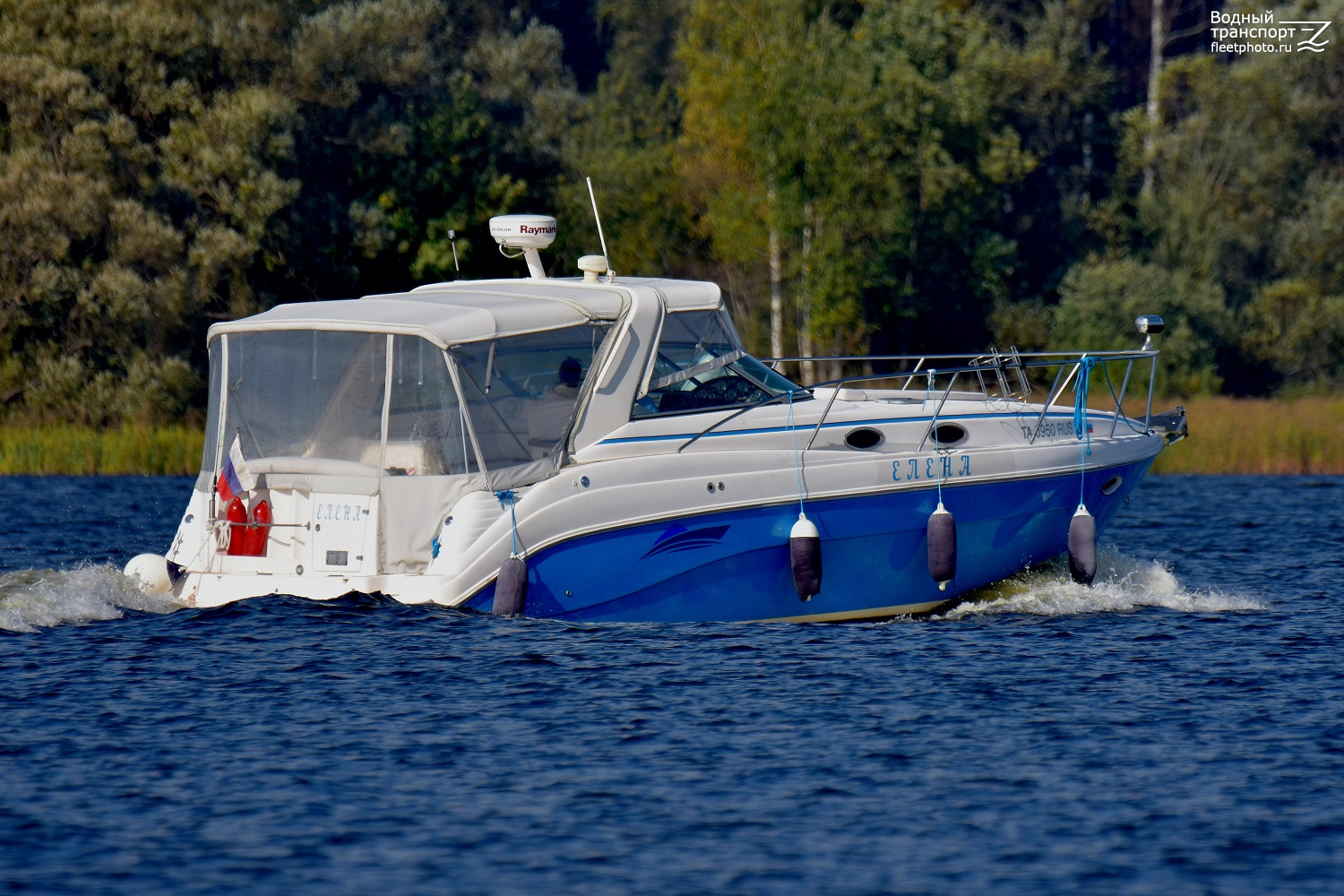 Елена