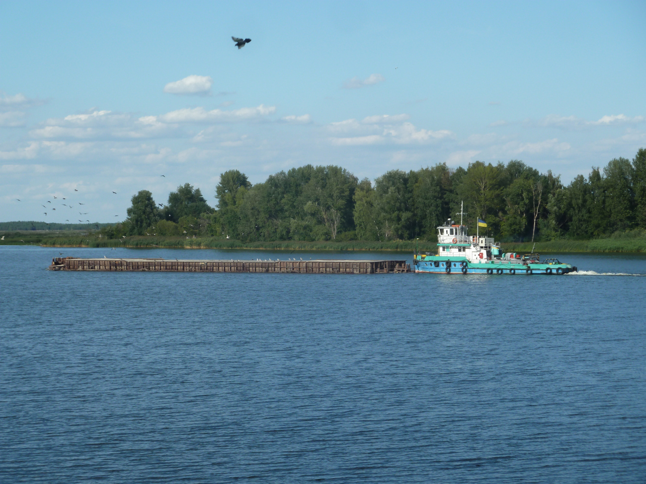 Р-503, БТ-439