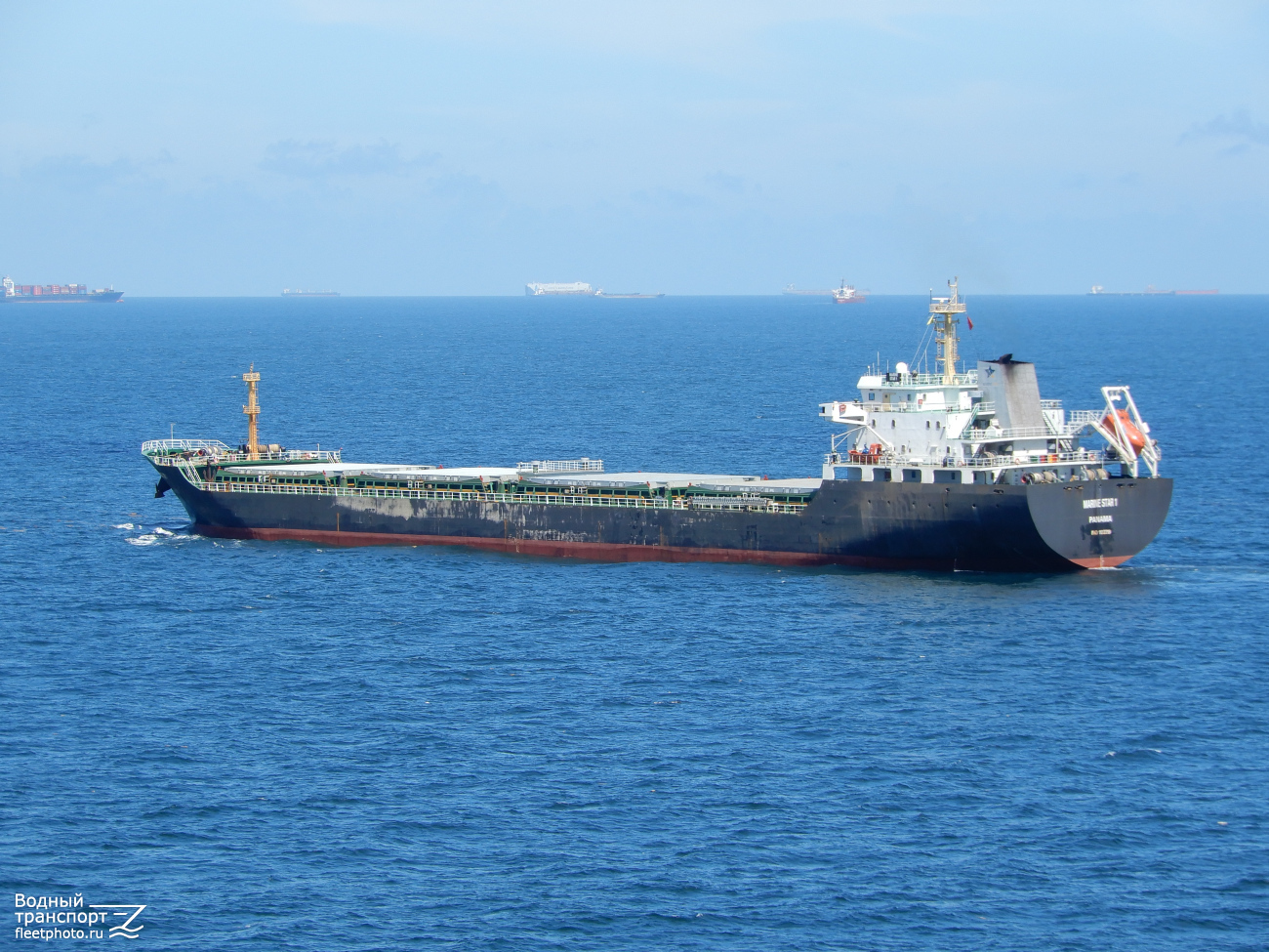 Marine Star 1