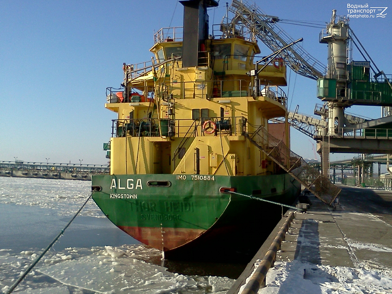 Alga