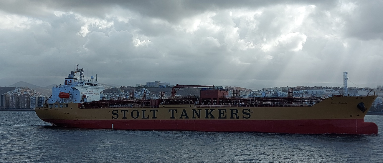 Stolt Betula